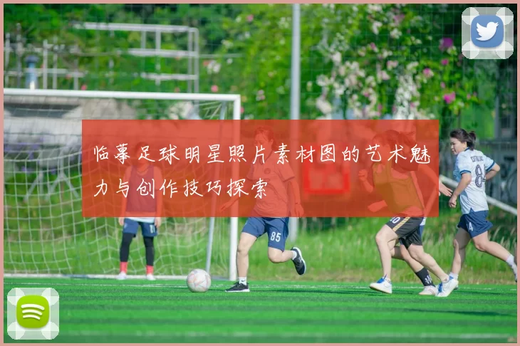 临摹足球明星照片素材图的艺术魅力与创作技巧探索