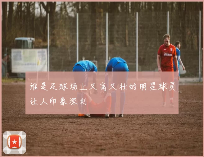 谁是足球场上又高又壮的明星球员让人印象深刻