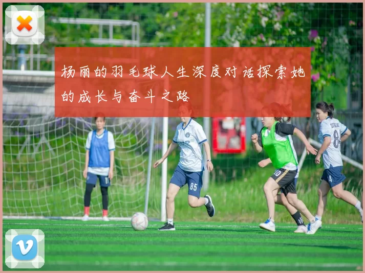 杨丽的羽毛球人生深度对话探索她的成长与奋斗之路