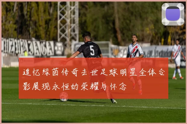 追忆绿茵传奇去世足球明星全体合影展现永恒的荣耀与怀念