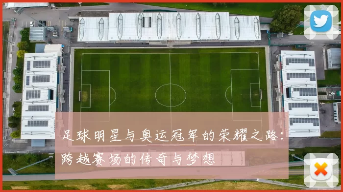 足球明星与奥运冠军的荣耀之路：跨越赛场的传奇与梦想