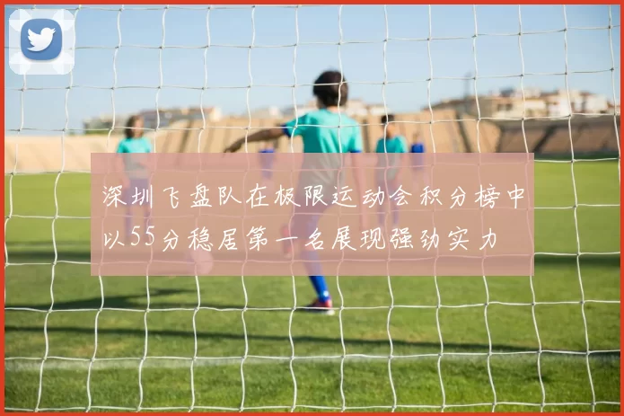 深圳飞盘队在极限运动会积分榜中以55分稳居第一名展现强劲实力