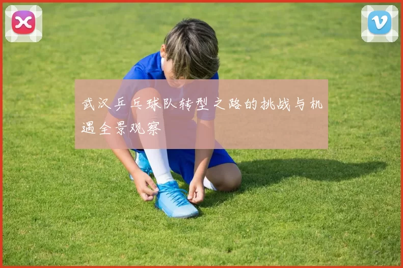 武汉乒乓球队转型之路的挑战与机遇全景观察