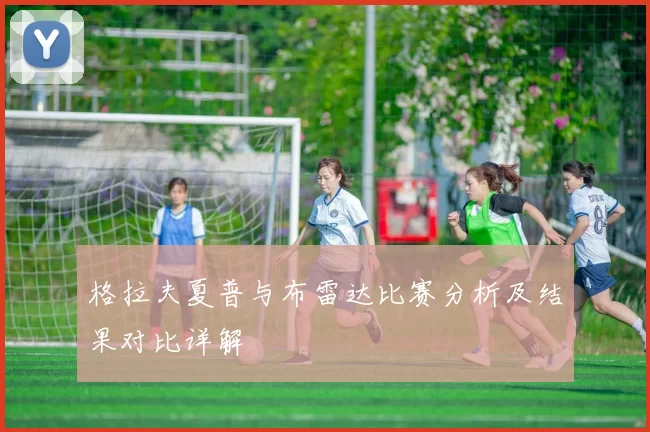 格拉夫夏普与布雷达比赛分析及结果对比详解