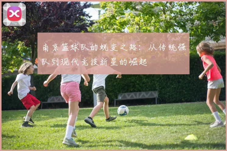 南京篮球队的蜕变之路：从传统强队到现代竞技新星的崛起