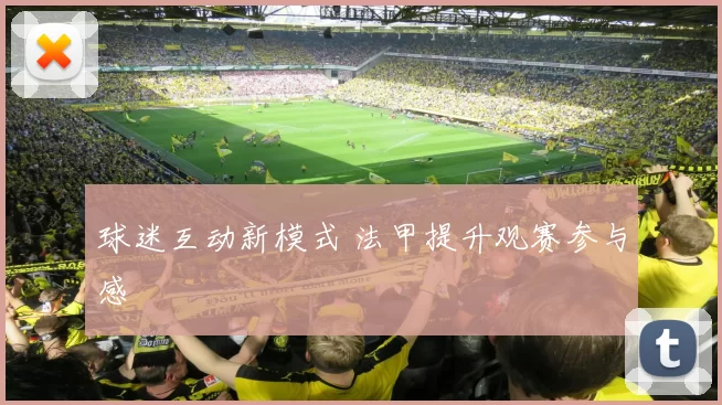 球迷互动新模式 法甲提升观赛参与感