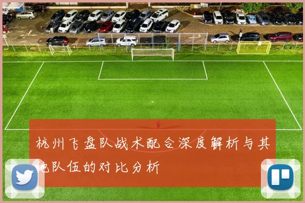 杭州飞盘队战术配合深度解析与其他队伍的对比分析